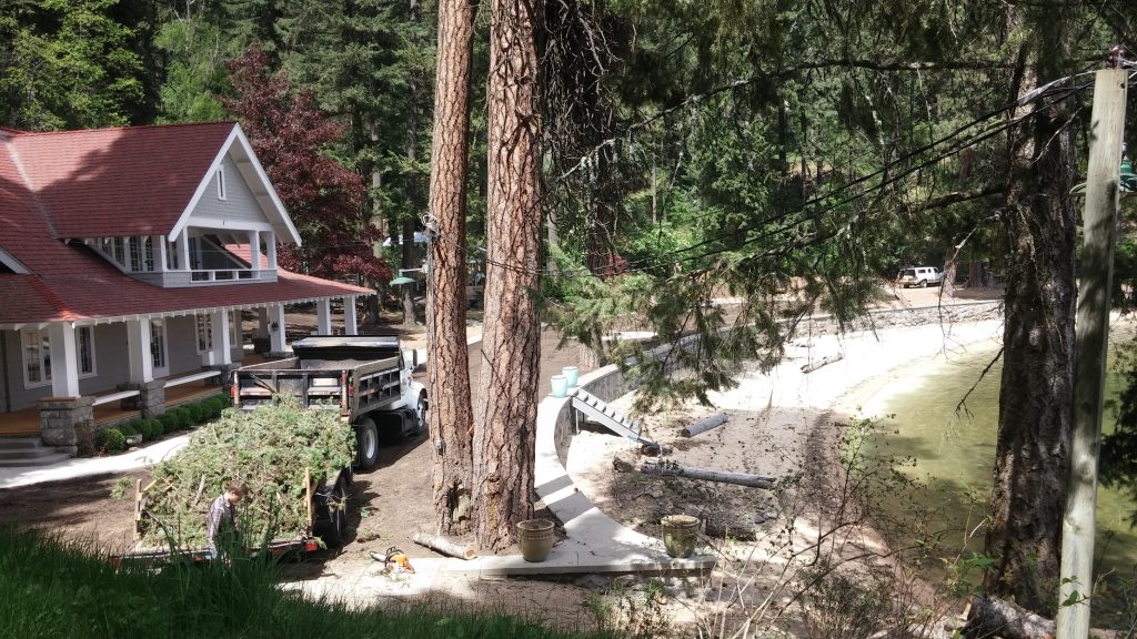 Professional brush removal and pruning services clearing debris from a residential landscape.