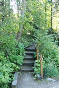 stairs-natural-pathway
