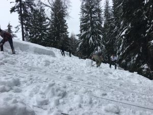 Priest Lake, Idaho - Snow removal